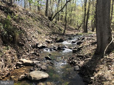 146 Ashton Woods Dr, Old Fields, WV 26836 - photo 2