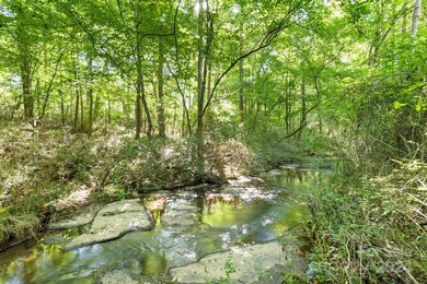 181 White Fox Trail, Statesville, NC 28625 - photo 4