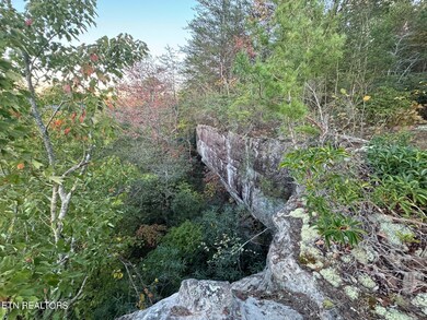 IMG_1442