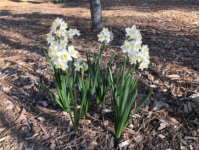 0 Secret Dr unit EV21037924, Running Springs, CA - photo 2