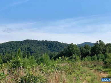 0 E Pounding Creek Rd, Charlottesville, VA 22903 - photo 5