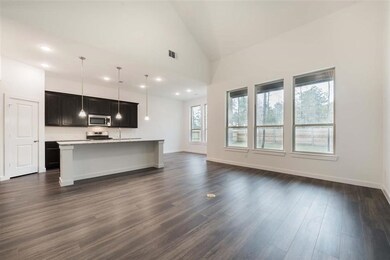 17159 Crimson Crest Dr, Conroe, TX 77302 - photo 5