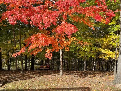Gorgeous Wooded Views