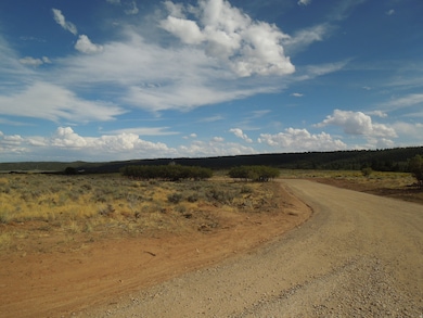 View of dirt / gravel road with a rural view
