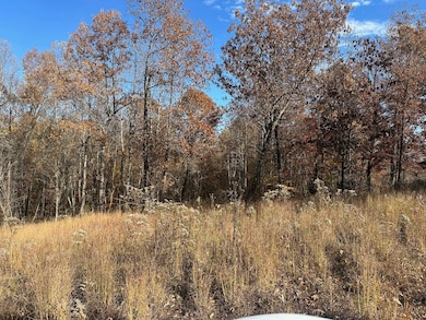 Parcel 086-00-00-027 001 Morgan Rickard Ln, Central City, KY 42330 - photo 2