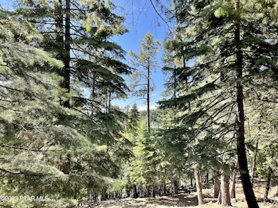 2440 E Summit Ave, Prescott, AZ 86303 - photo 2