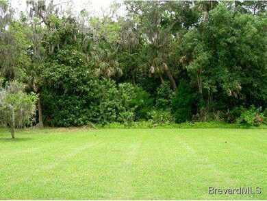 156 River Park Blvd, Titusville, FL 32780 - photo 7