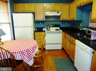 7964 Brightlight Place, Ellicott City, MD 21043 - photo 3