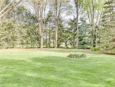 Private back yard with many trees
