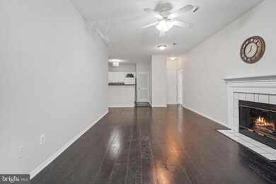 4412 Helmsford Ln unit 203, Fairfax, VA 22033 - photo 5
