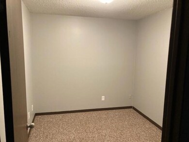 15 W Warren St unit 3, Princeton, IL 61356 - photo 6