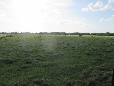 TBD NE 168th St, Okeechobee, FL 34972 - photo 4