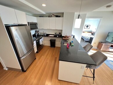 Sierra & Tango Condominiums unit T810, Cambridge, MA 02141 - photo 7