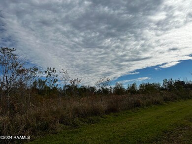IMG_3193
