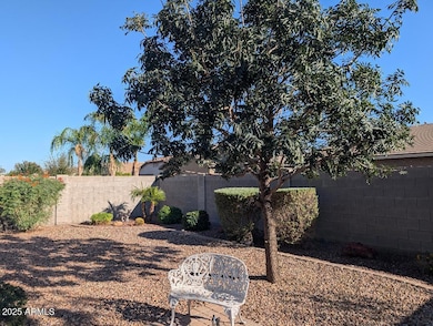 859 W Sisso Tree Ave, San Tan Valley, AZ 85140 - photo 3