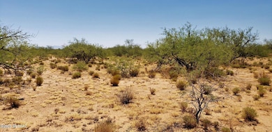 13400BLK W Sundance Trail, Tucson, AZ 85735 - photo 4