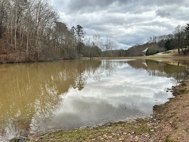 Lot 4 Timberwalk Dr, Ellijay, GA 30540 - photo 2