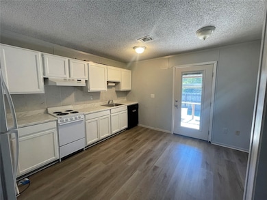 4209 Quail Ridge Ct, Granbury, TX 76049 - photo 3