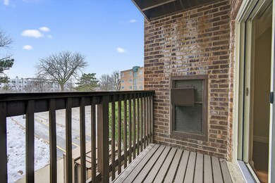 The Regency Square Apartments unit 207, Elk Grove Village, IL 60007 - photo 7