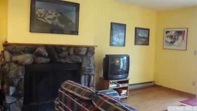 71 Hunter Dr unit M-4, Lanesville, NY 12450 - photo 6