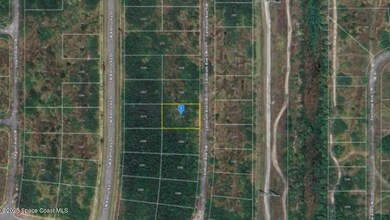 2374 Landrum Ave SW, Palm Bay, FL 32908 - photo 2