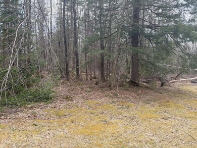 driveway looking north