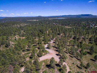 1102 Sheep Springs, Durango, CO 81301 - photo 7