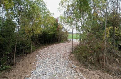 0 Dickersonville Rd unit B1652641, Lewiston, NY 14131 - photo 5