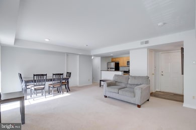 12154 Penderview Terrace unit 1231, Fairfax, VA 22033 - photo 4