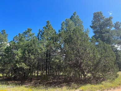 2899 Lejo Rd.