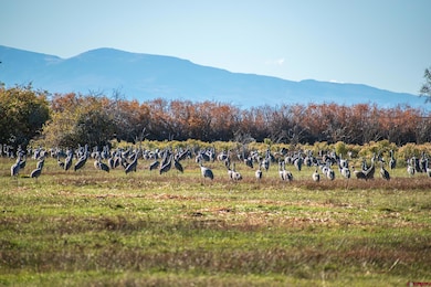 0 County Road 15 5, Blanca, CO 81123 - photo 2