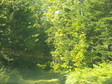 DSCN8349