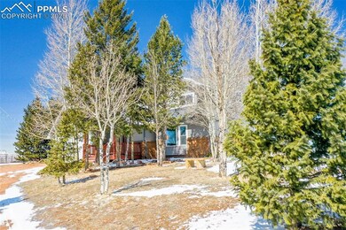 251 County Road 25, Divide, CO 80814 - photo 7