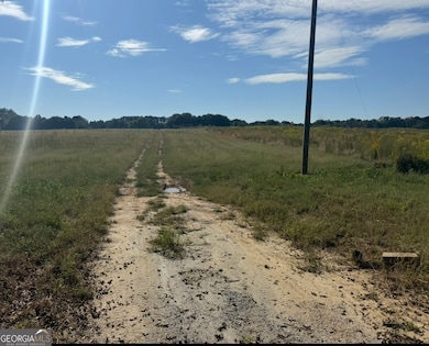 195 Hamil Rd, Griffin, GA 30223 - photo 2