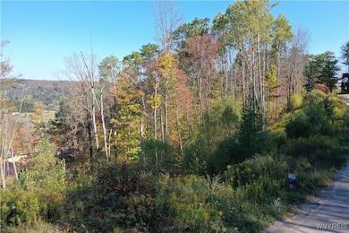 20 Fresh Tracks Way unit 20, Mansfield, NY 14731 - photo 3