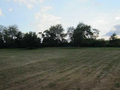Yard/Garden.