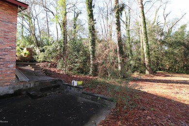 101 Jay Dr - Backyard 2
