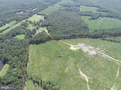 0 Bremo Road (Tract: Jr Barnes Dillion), Bremo Bluff, VA 23022 - photo 4