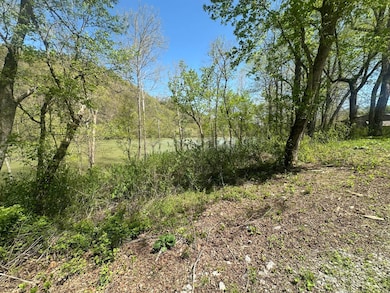 0 Misty River Resort unit 15 & 19, Burkesville, KY 42717 - photo 4