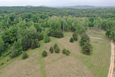 Lot 7 & 8 Apple Tree Ln, Melbourne, AR 72556 - photo 6