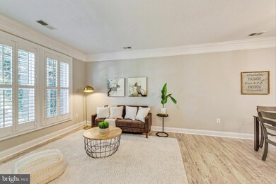 2288 Margraf Cir unit 386, Woodbridge, VA 22191 - photo 4