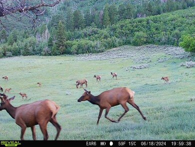 0 Tbd Highway 13 unit 25806397, Rifle, CO 81650 - photo 4