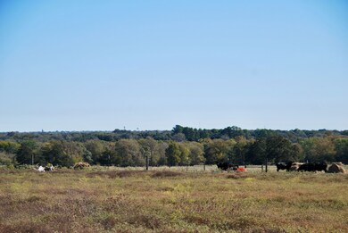 Tbd Holub Rd, Schulenburg, TX 78956 - photo 6