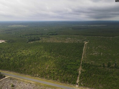 Tr 2 Providence Rd unit 2, Cassatt, SC 29032 - photo 4