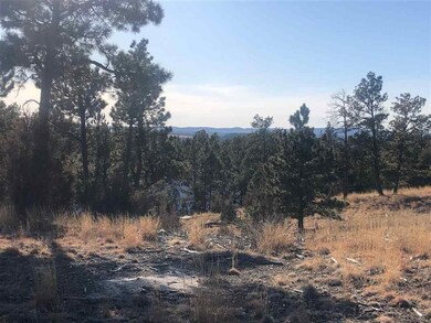 Big Sky 9 Elk Run Rd unit Canyon Rim Ranch, Custer, SD 57730 - photo 3