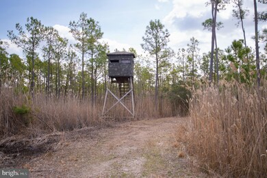 0 Andrews Rd unit MDDO2004556, Crapo, MD 21626 - photo 4