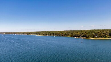 Lagoon Pond aerial