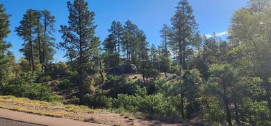 0 E Phoenix St, Payson, AZ 85541 - photo 6