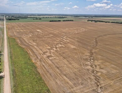 00000 Chisholm Rd, Inman, KS 67546 - photo 6