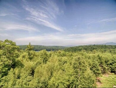 926 Beach Pond Rd, Wolfeboro, NH 03894 - photo 3